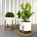 Decorative Trio of Cachepot Vases - Minha loja